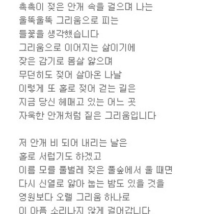 안개를 따라
