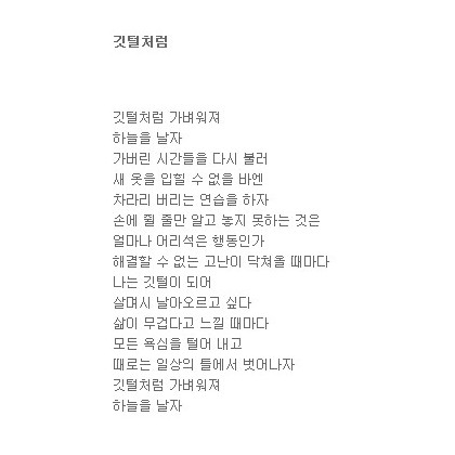 가벼운 깃털처럼