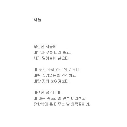 우리 하늘