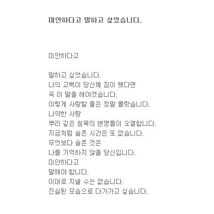 미안하다고 말하고 싶었습니다