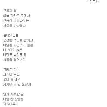 비밀의 겨울나무