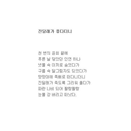 그대 진달래가 좋다더니