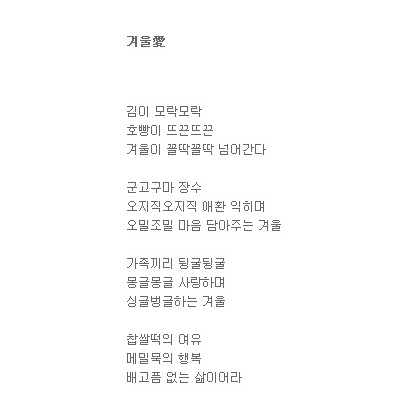 겨울애 사랑