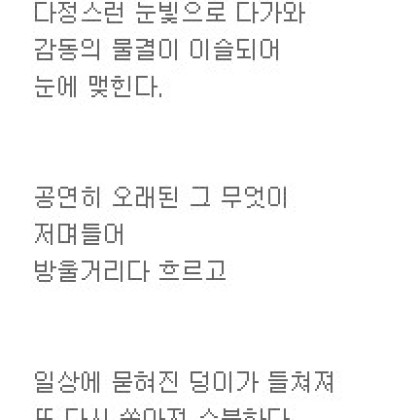 나의 다정스런 햇살은