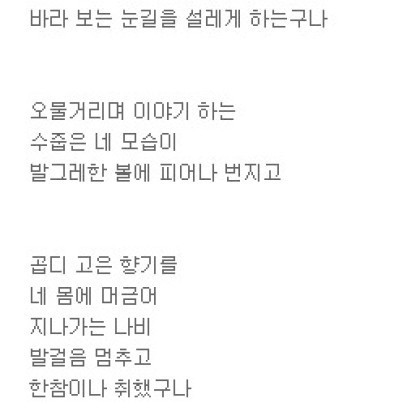 자목련