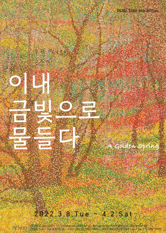 이내 금빛으로 물들다
