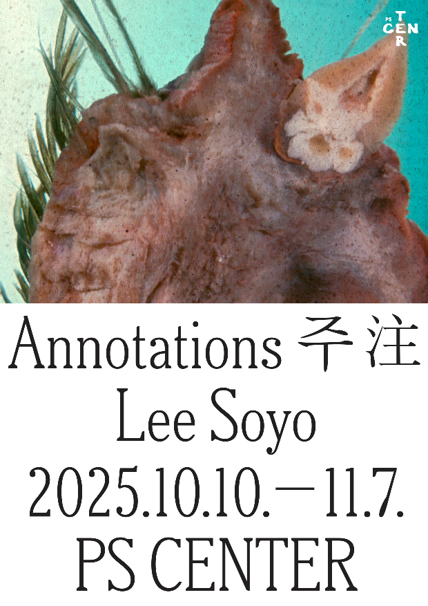 6e1648feaa81e78481c933676f12efb9_1758796798_44.jpg