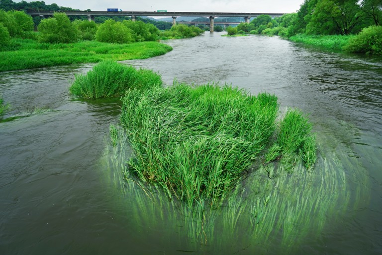 1915c1f354ce7ca95f9ef36938fc5add_1780806230_8695.jpg