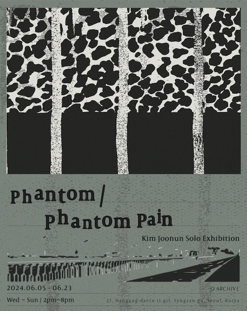 Phantom/Phantom Pain