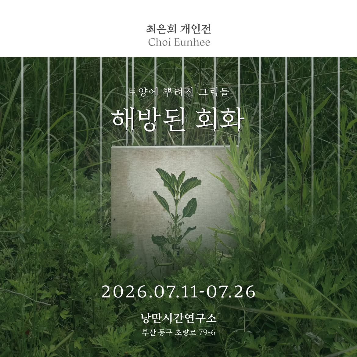 해방된 회화 : 토양에 뿌려진 그림들