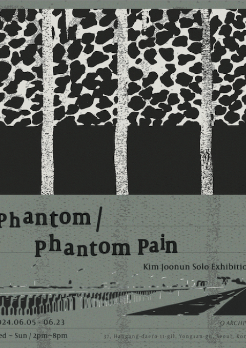 Phantom/Phantom Pain