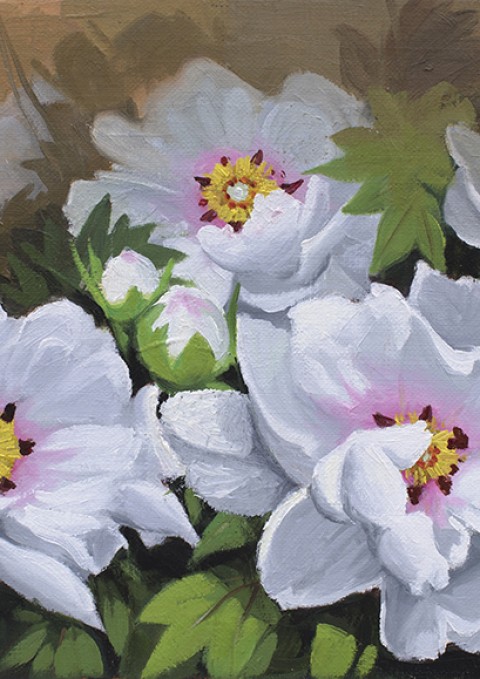 화합(모란), Oil on canvas, 33.4 x 24.2cm, 2011