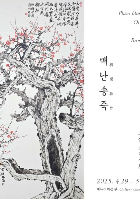 매난송죽