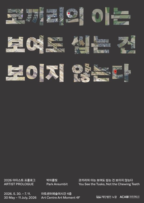 박아름빛 개인전: 코끼리의 이는 보여도 씹는 건 보이지 않는다