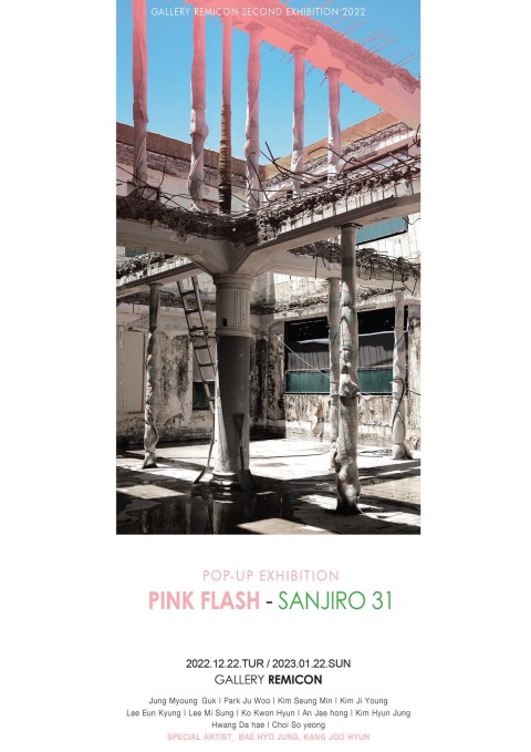 Pink Flash - Sanjiro 31